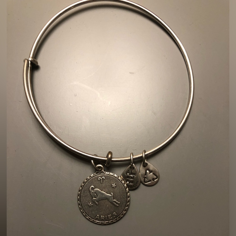 Alex and Ani silver Aries/ Ram adjustable bangle.